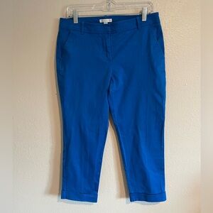 New York & Company Vibrant Blue Cropped Pants
